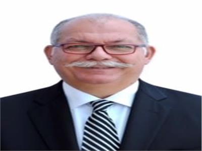 الرئيس التنفيذي لمجموعة شركات "تويوتا إيجيبت" أحمد منصف