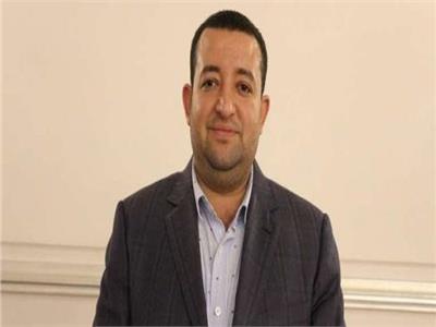 النائب تامر عبد القادر عضو مجلس النواب