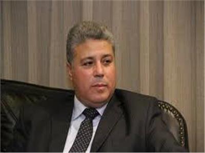 النائب محمود يحيى، عضو مجلس النواب