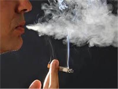 52 % من الذكور «مدخنين» و1% الإناث.. و33% معرضون للتدخين السلبي بالعمل