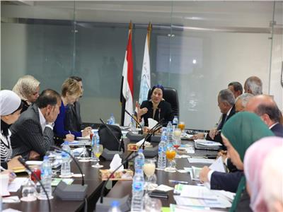 فؤاد : مصر قادرة على مواجهة التحديات التى تواجه تحقيق التنمية المستدامة