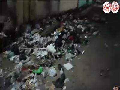القمامة تحاصر الوحدة المحلية بـ«ساقية أبو شعرة» بالمنوفية.. فيديو 