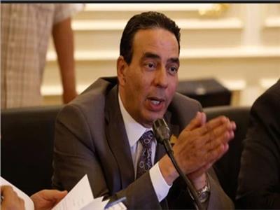 أيمن أبو العلا- عضو لجنة الصحة بمجلس النواب