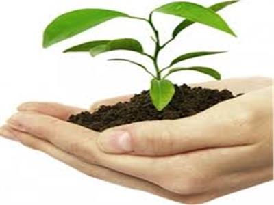 «البحوث الزراعية» ينظم ورشة عمل مكافحة أمراض النبات..غدا