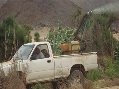 الزراعة تواصل حربها ضد الجراد الصحراوي وتكثف عمليات المكافحة