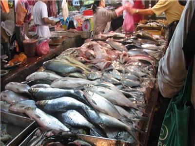 أسعار الأسماك في سوق العبور