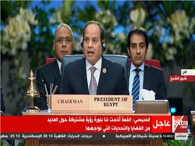 كلمة الرئيس السيسي خلال الجلسة الختامية  بالقمة العربية الأوروبية