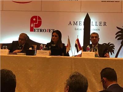 وزير الكهرباء يطرح الفرص الاستثمارية أمام مجلس الأعمال المصري الياباني