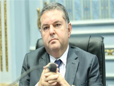 هشام توفيق - وزير قطاع الأعمال العام