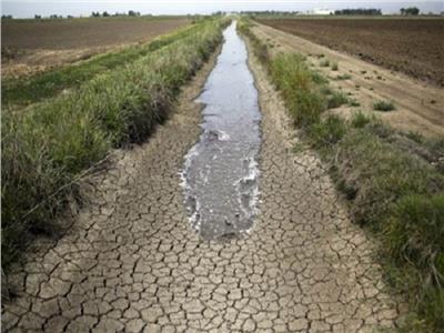4 إجراءات تنفذها الزارعة لمواجهة ندرة المياه.. تعرف عليها