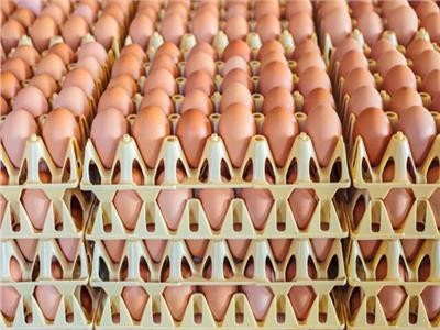 «الزراعة» تعلن تصدير أكثر من مليون بيضة مائدة إلى البحرين