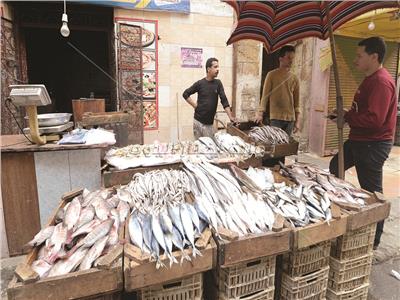 أسواق السمك تبحث عن الزبائن - تصوير أيمن حسن