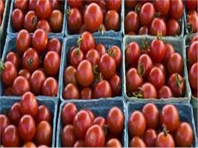 3 طرق سحرية لـ«تخزين الطماطم» قبل رمضان