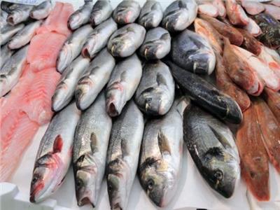 أسعار الأسماك في سوق العبور اليوم ٢١ أبريل -أرشيفية