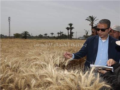 محافظ سوهاج يتفقد  حقول القمح الارشادية