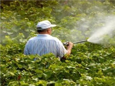 تكثيف الرقابة على أسواق المبيدات يحمي المحاصيل الزراعية وصحة المواطنين