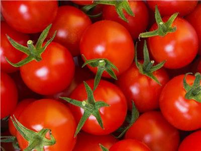دراسة ..الطماطم توقي من سرطان الجلد