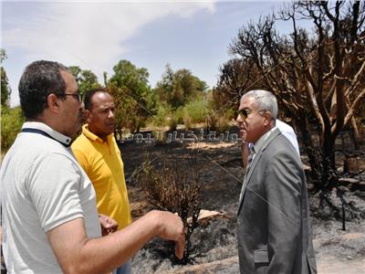  محافظ أسوان يحيل المسئولين عن الحديقة الدولية للنيابة بسبب حريق الأمس