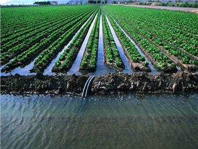 الزراعة تنظم ندوات إرشادية للحد من الآثار الضارة لـ«التغيرات المناخية» بالمنوفية