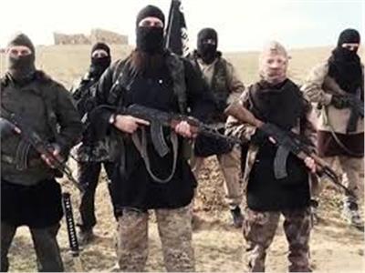  مقاتلي "داعش"