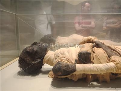 قاعة المومياوات الملكية في المتحف المصري بالتحرير