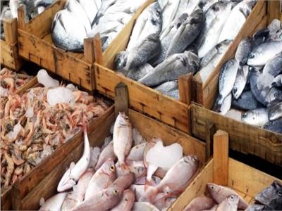 أسعار الأسماك في سوق العبور اليوم ٢٦ يونيو