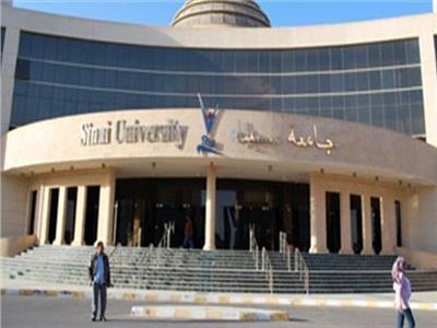 جامعة سيناء