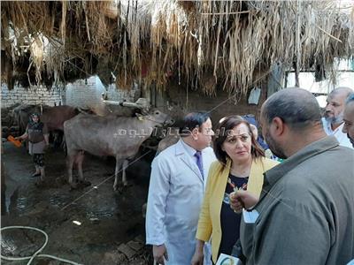 منى محرز نائب وزير الزراعة