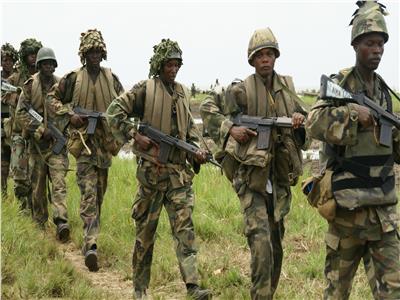 عناصر من الجيش النيجيري- أرشيفية