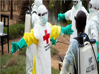 فيروس الإيبولا