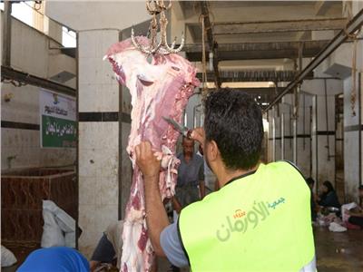 الأورمان تنهى استعدادتها لتوزيع اللحوم البلدية فى قرى محافظة المنيا