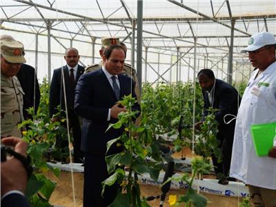 الرئيس عبد الفتاح السيسي خلال تفقده مشروع مصر للصوب الزراعية