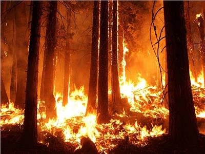 صورة أرشيفية لحرائق غابات الأمازون