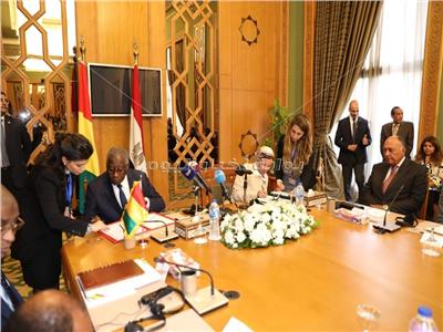 مصر توقع على مذكرة تفاهم مع غينيا 