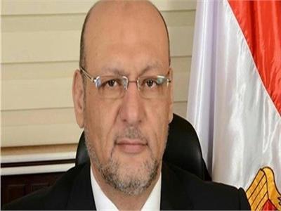 الدكتور حسين أبو العطا رئيس حزب "المصريين"