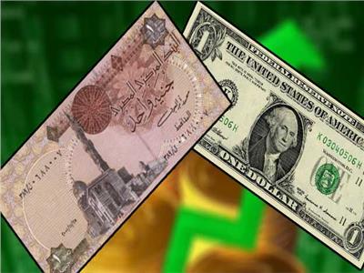  الجنيه المصري و الدولار الأمريكي