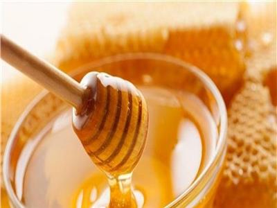 فوائد العسل متنوعة أهمها تقوية المناعة 