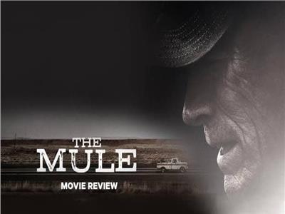 «the mule» 