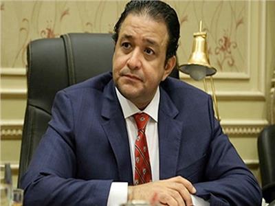 رئيس لجنة حقوق الإنسان بمجلس النواب النائب علاء عابد