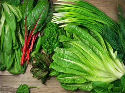 «نصائح مجربة».. 3 خطوات لإطالة عمر الخضروات الورقية بالثلاجة