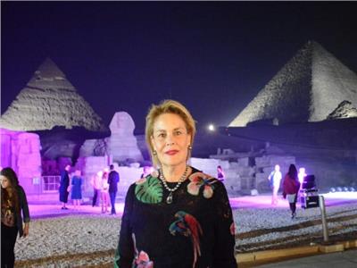 رائدة الأعمال التنموية المصرية راوية منصور