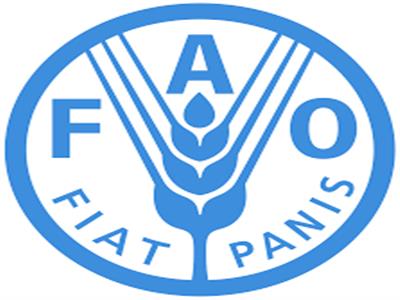 منظمة الأغذية والزراعة للأمم المتحدة «الفاو»