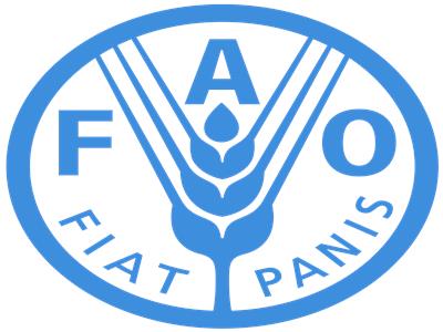 منظمة الأغذية والزراعة للأمم المتحدة «الفاو»