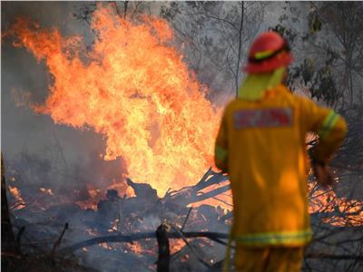 حرائق الغابات الأسترالية 