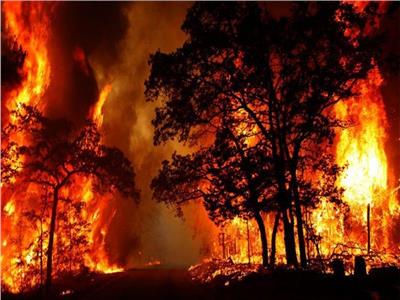 السلطات الأسترالية تنوي إخلاء بلدتين مع اقتراب حرائق الغابات منهم