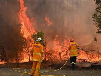 أستراليا: مئات الآلاف يوقعون عريضة لإلغاء الألعاب النارية بسبب حرائق الغابات