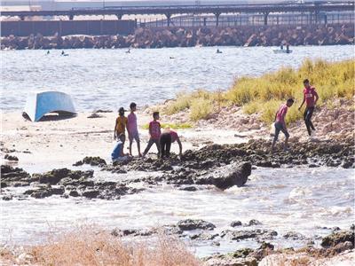  كارثة بيئية على شاطئ الدخيلة