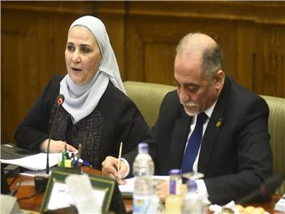 وزيرة التضامن خلال اجتماعها مع مجلس النواب 