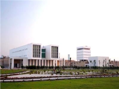 الجامعة المصرية اليابانية 