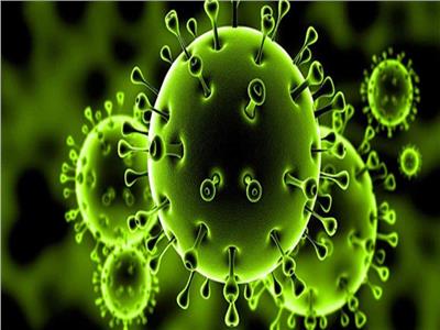 منظمة الصحة العالمية تعلن فيروس كورونا حالة طوارئ صحية عامة تثير قلقا دوليا
